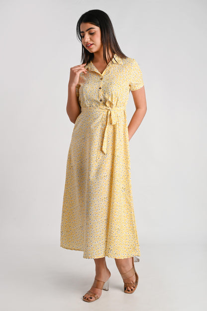 The Lemon Yellow Dress